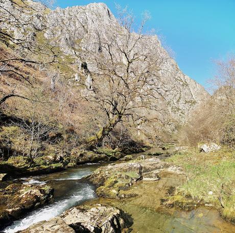 Cabeza Pandescura y Foz del Casaño por la Canal de la Llucia