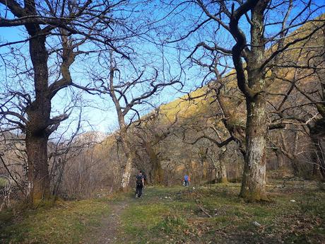 Cabeza Pandescura y Foz del Casaño por la Canal de la Llucia