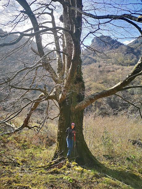 Cabeza Pandescura y Foz del Casaño por la Canal de la Llucia