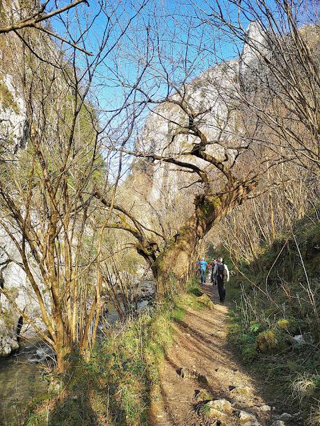Cabeza Pandescura y Foz del Casaño por la Canal de la Llucia
