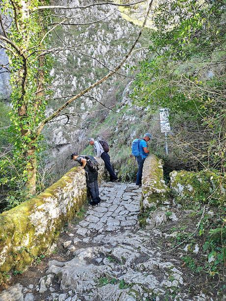 Cabeza Pandescura y Foz del Casaño por la Canal de la Llucia