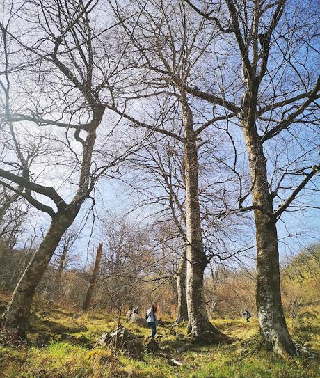 Cabeza Pandescura y Foz del Casaño por la Canal de la Llucia