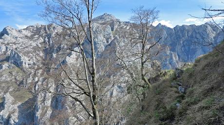Cabeza Pandescura y Foz del Casaño por la Canal de la Llucia