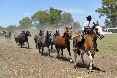 Un día con gauchos en una estancia