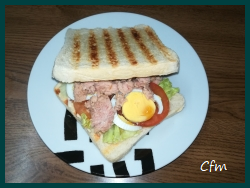 Sandwich vegetal