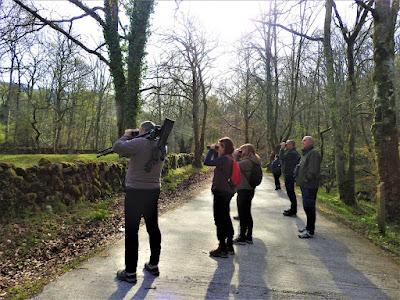 GARZA IMPERIAL, CERCETA CARRETONA... PRÓXIMO OBJETIVO: BISBITA ARBÓREO