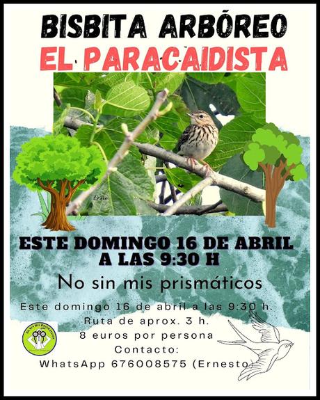 GARZA IMPERIAL, CERCETA CARRETONA... PRÓXIMO OBJETIVO: BISBITA ARBÓREO