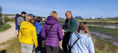 GARZA IMPERIAL, CERCETA CARRETONA... PRÓXIMO OBJETIVO: BISBITA ARBÓREO