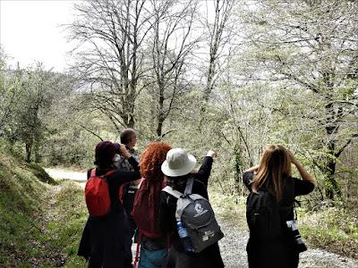 GARZA IMPERIAL, CERCETA CARRETONA... PRÓXIMO OBJETIVO: BISBITA ARBÓREO