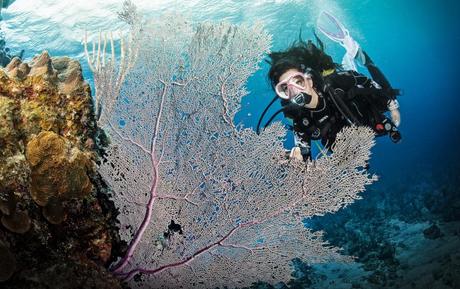 El futuro de Ramsey Lake: Un paraíso acuático en Sudbury, Ontario. 5