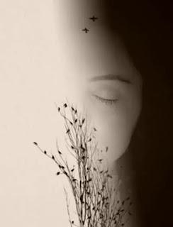 5.442 - PAPEL EN BLANCO...