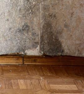 Humedad en el Parquet:¿Cómo Eliminarla?