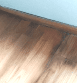Humedad en el Parquet:¿Cómo Eliminarla?