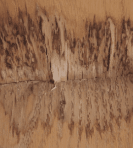 Humedad en el Parquet:¿Cómo Eliminarla?