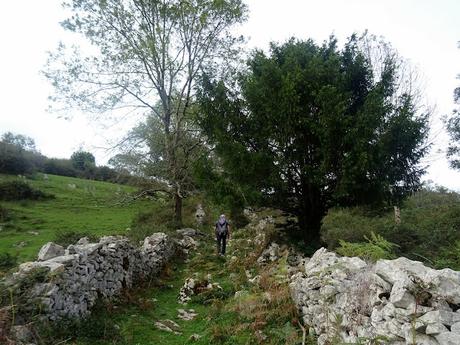 San Roque l´Acebal-La Cuesta´l Caballu-La Cabeza Torbina