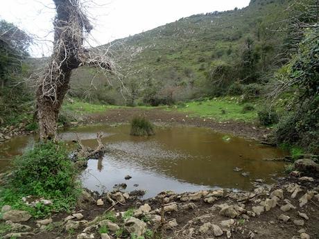 San Roque l´Acebal-La Cuesta´l Caballu-La Cabeza Torbina