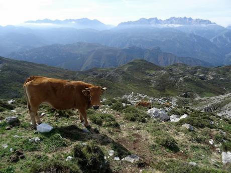 San Roque l´Acebal-La Cuesta´l Caballu-La Cabeza Torbina