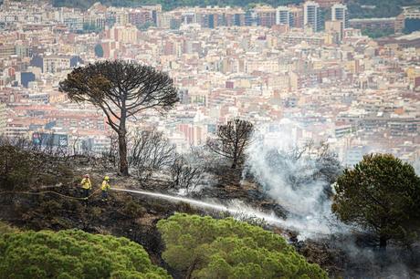 Parques y bosques barceloneses en alerta máxima por incendios Parques y bosques barceloneses en alerta máxima por incendios