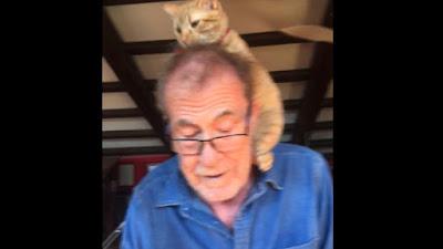 La IIª República española. Monarquía o República… Y músicos de bandas, protestado en la Comunidad de Madrid. La IIª República española. Monarquía o República… Y músicos de bandas, protestado en la Comunidad de Madrid.