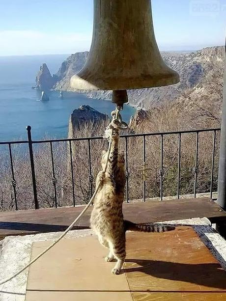 La IIª República española. Monarquía o República… Y músicos de bandas, protestado en la Comunidad de Madrid. La IIª República española. Monarquía o República… Y músicos de bandas, protestado en la Comunidad de Madrid.