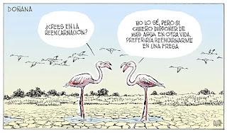 De la necesidad de descansar