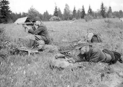 Los Hermanos del Bosque