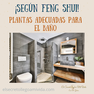 Planta para el baño según Feng Shui