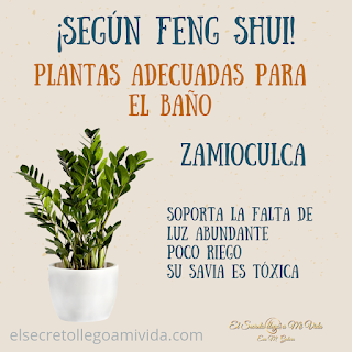 Planta para el baño según Feng Shui