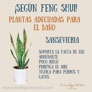 Planta para el baño según Feng Shui