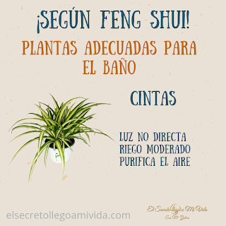Planta para el baño según Feng Shui