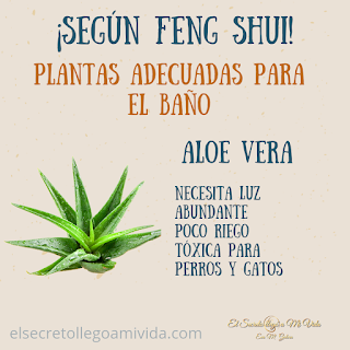Planta para el baño según Feng Shui