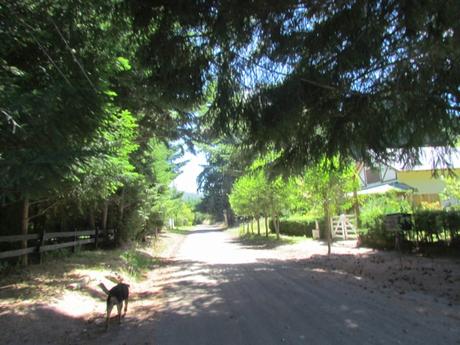 Puerto Manzano. Villa La Angostura. Argentina