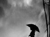 5.446 ratos llueve...