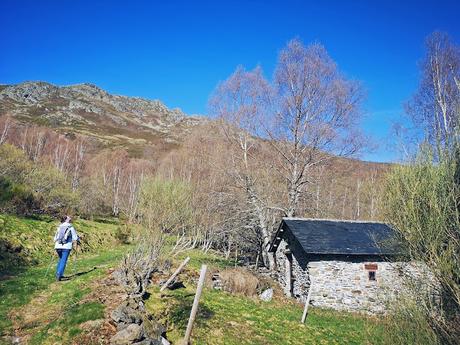 Cuiña y El Campanario desde Tejedo de Ancares