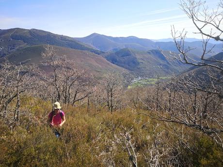 Cuiña y El Campanario desde Tejedo de Ancares