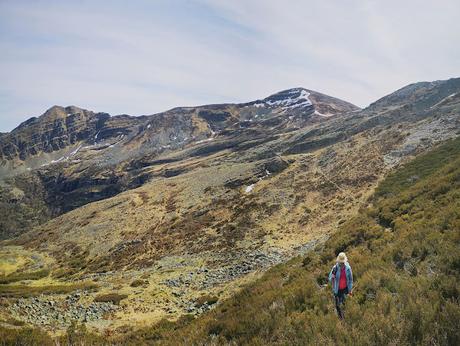 Cuiña y El Campanario desde Tejedo de Ancares