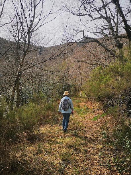 Cuiña y El Campanario desde Tejedo de Ancares
