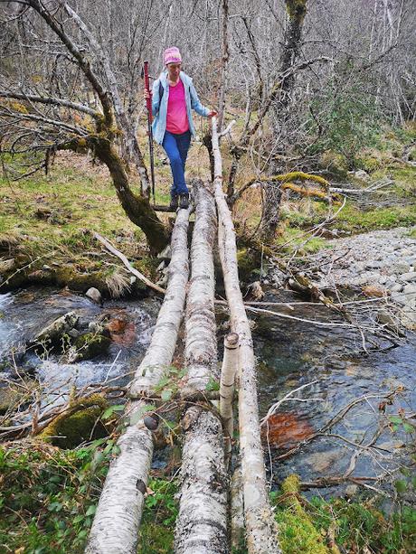 Cuiña y El Campanario desde Tejedo de Ancares