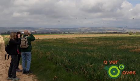 “Apuntamos de nuevo a nuestros escolares/hijos para que sigan conociendo la biodiversidad que les rodea”
