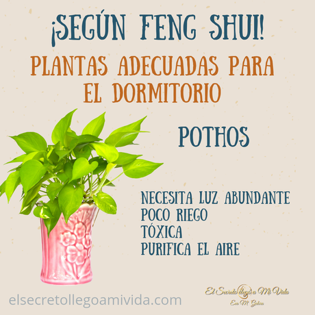 Plantas ideales para el dormitorio