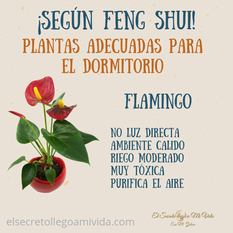Plantas ideales para el dormitorio