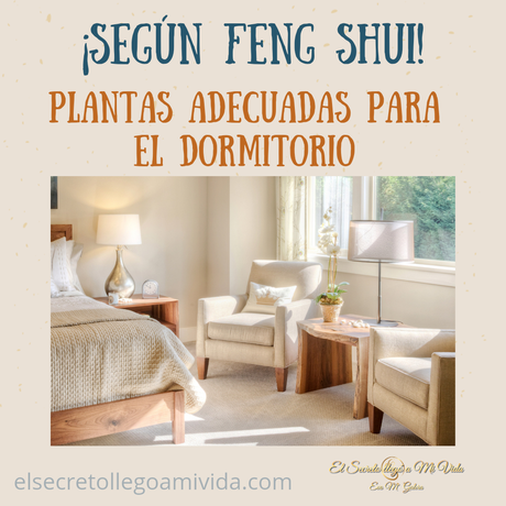 Plantas ideales para el dormitorio
