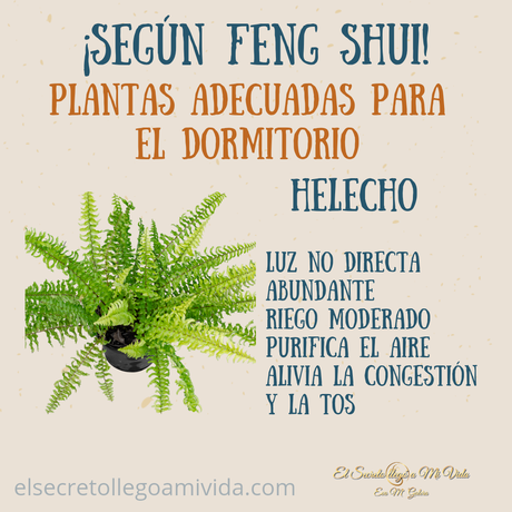 Plantas ideales para el dormitorio