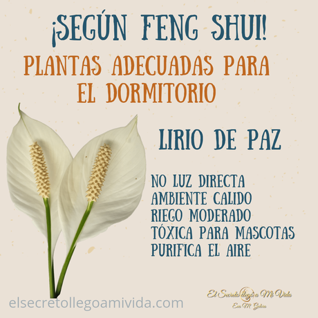 Plantas ideales para el dormitorio