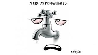 De lo que nunca sabremos del todo