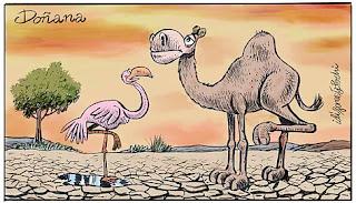 De lo que nunca sabremos del todo