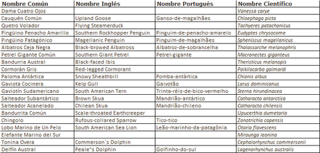 Isla Pingüino (febrero 2022)