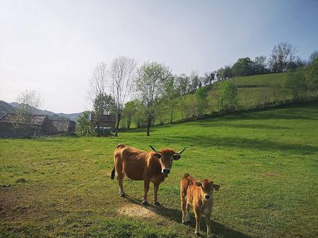 El Cuetón desde Inguanzo