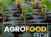 Desafío AgroFoodTech CIVLAC: nueva instancia innovación abierta entre startups grandes compañías