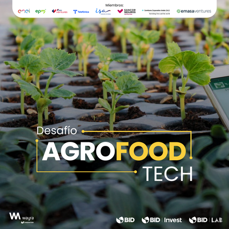 Desafío AgroFoodTech de CIVLAC: Una nueva instancia de innovación abierta entre startups y grandes compañías